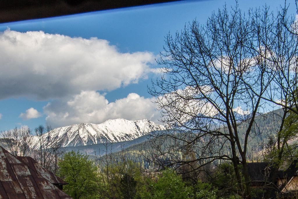 Apartament Owcze Runo Zakopane Buitenkant foto